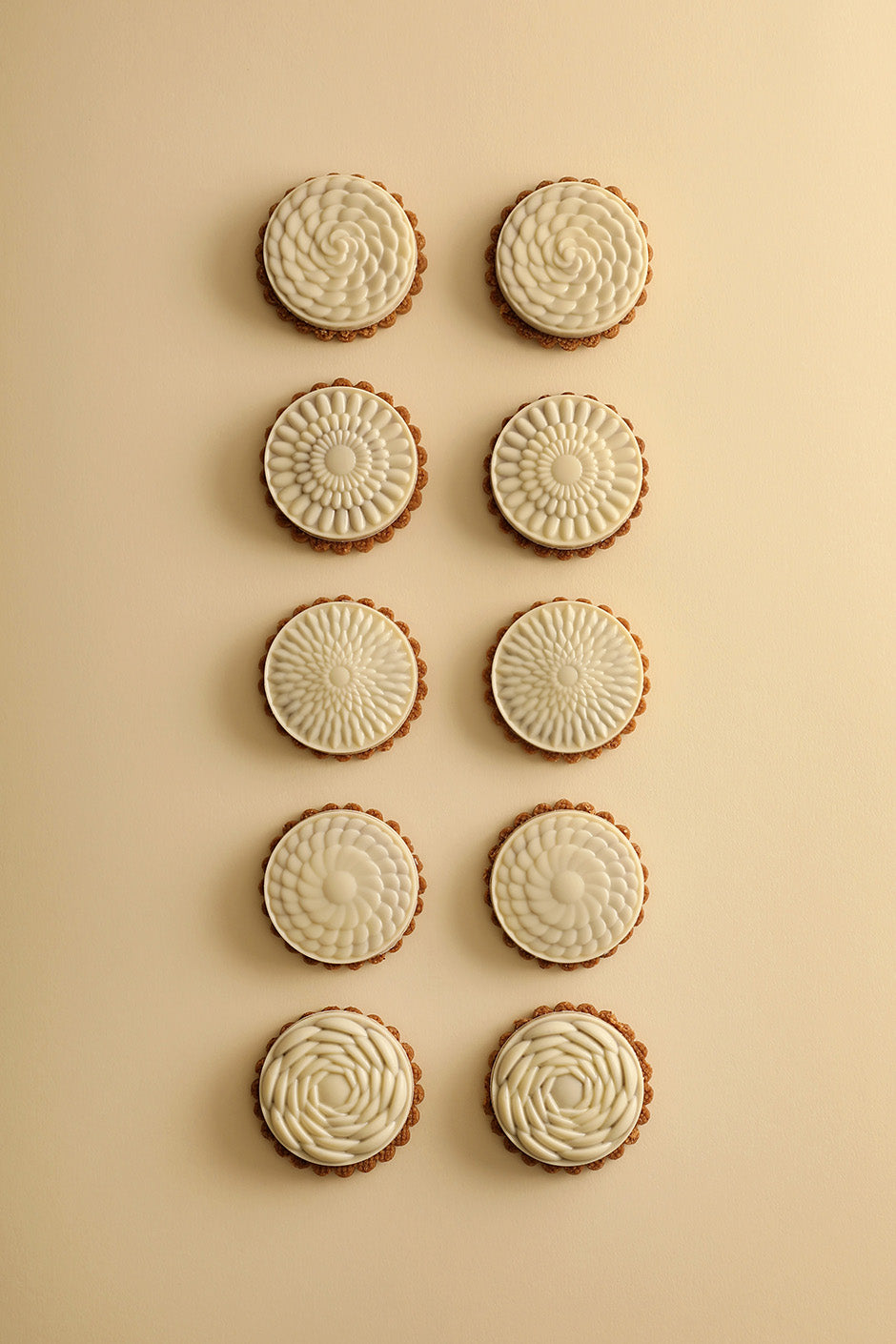 Biscuit 10 pièces chocolat blanc