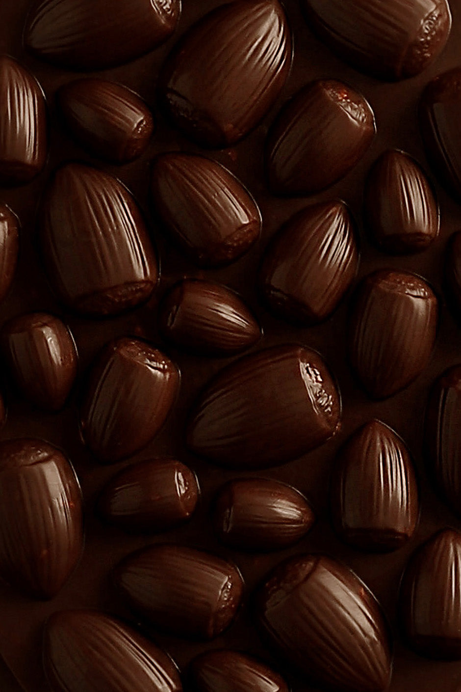 Tablette mendiant noisette chocolat noir