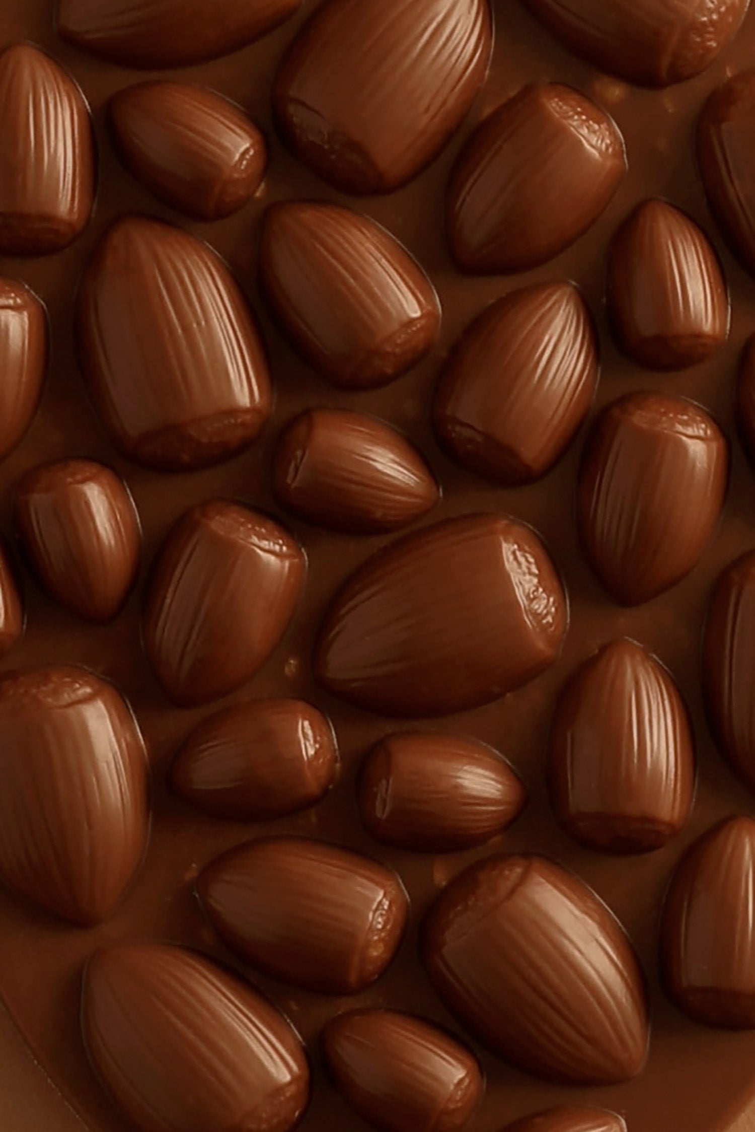 Tablette mendiant noisette chocolat au lait